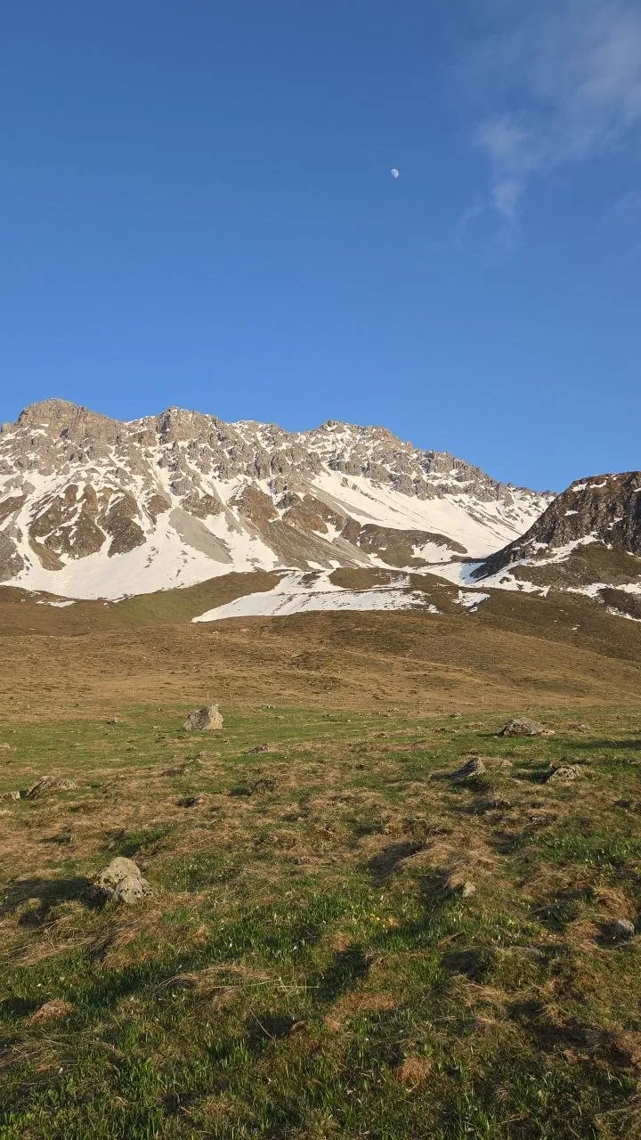 Alpenrose Medergen Galerie 05
