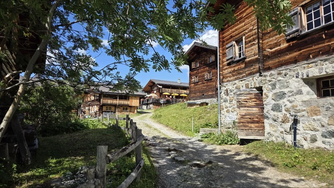 Alpenrose Medergen Galerie 19