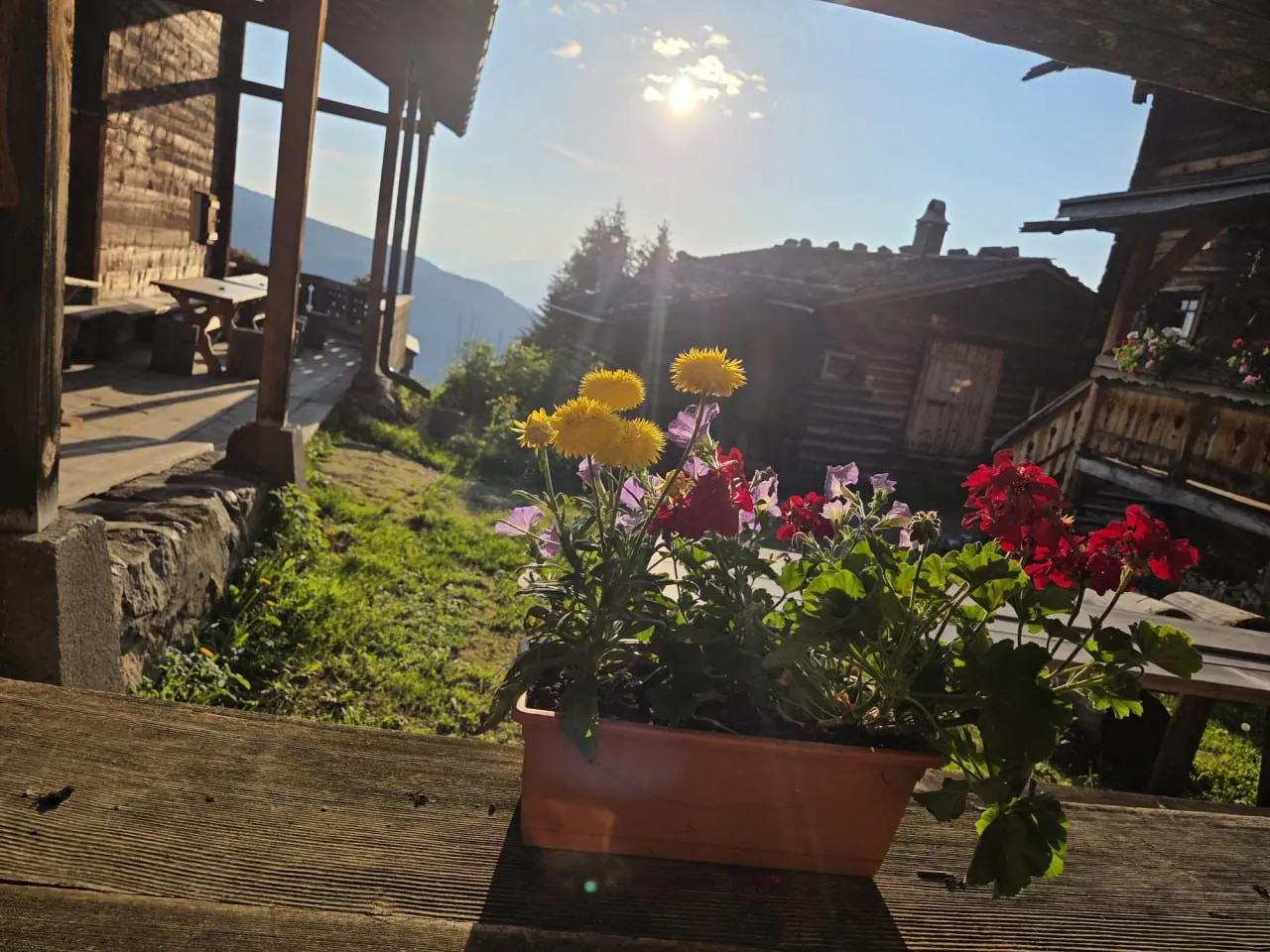 Alpenrose Medergen Galerie 35