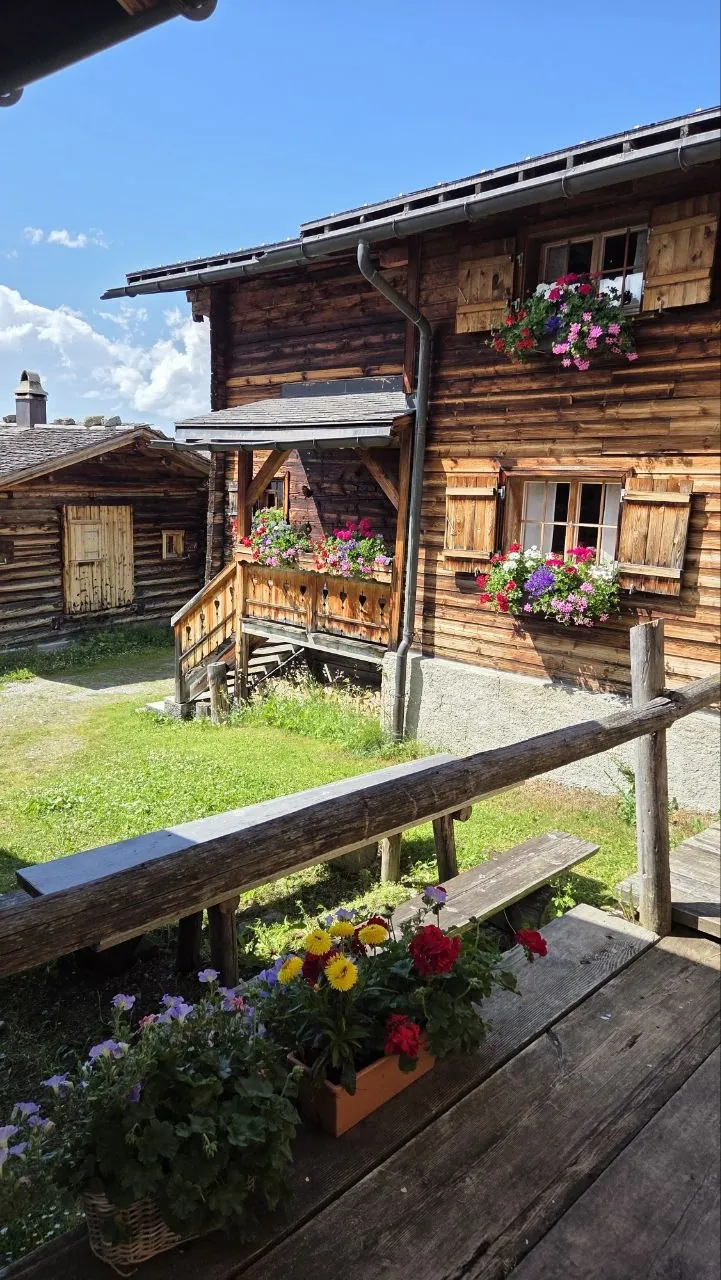 Alpenrose Medergen Galerie 43